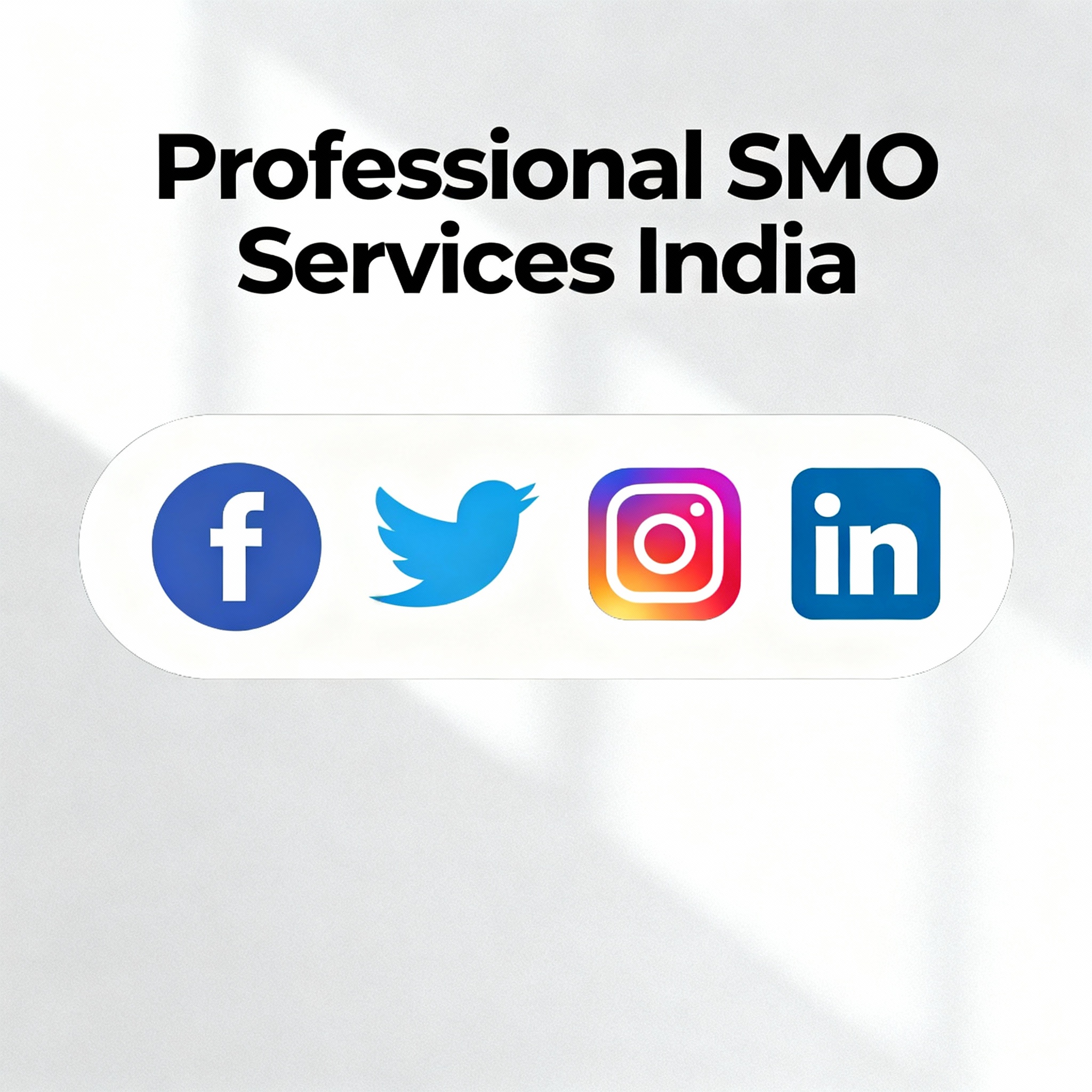 Professional SMO Services in India